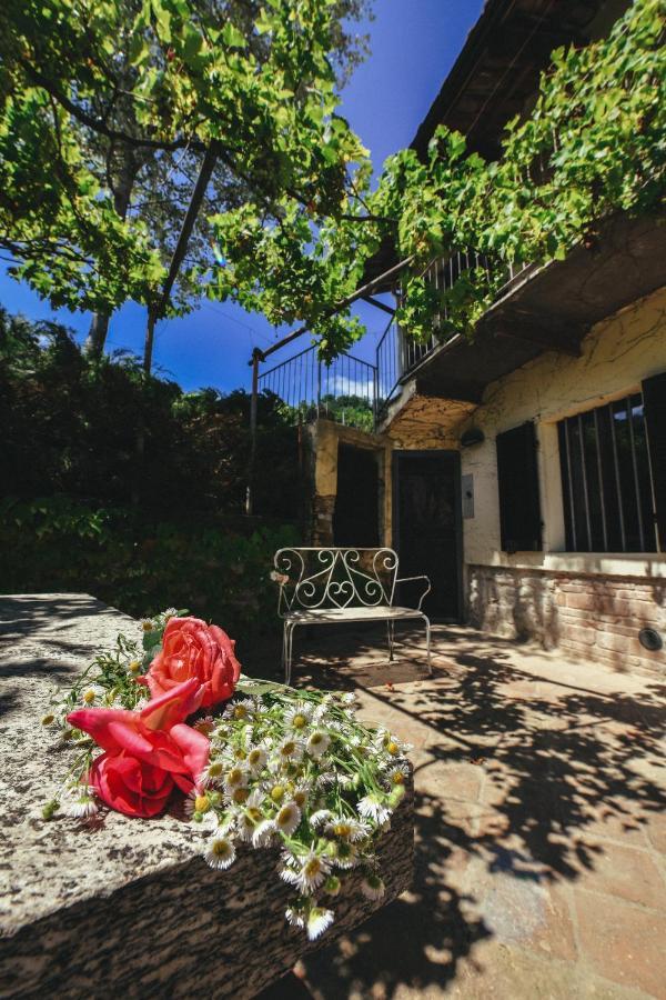 Cascina Flino Apartman Diano dʼAlba Kültér fotó